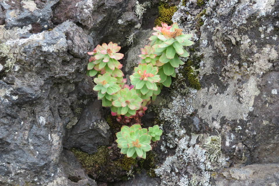 497749447 10224434878334343 4623606206814272188 n