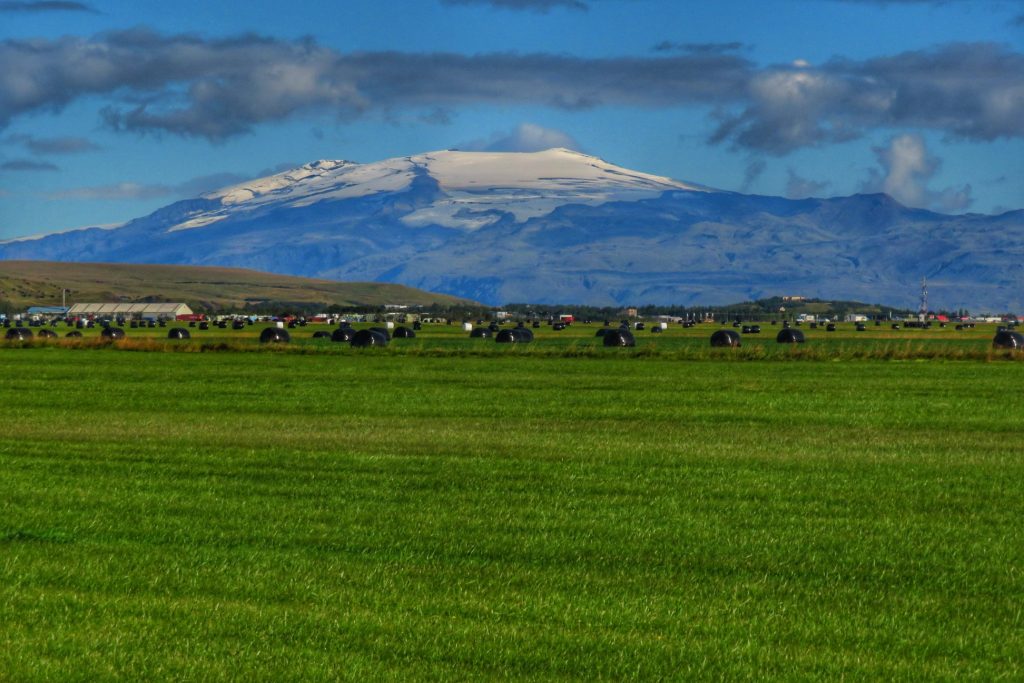 82716525 10213615685941295 7647399809824849920 n