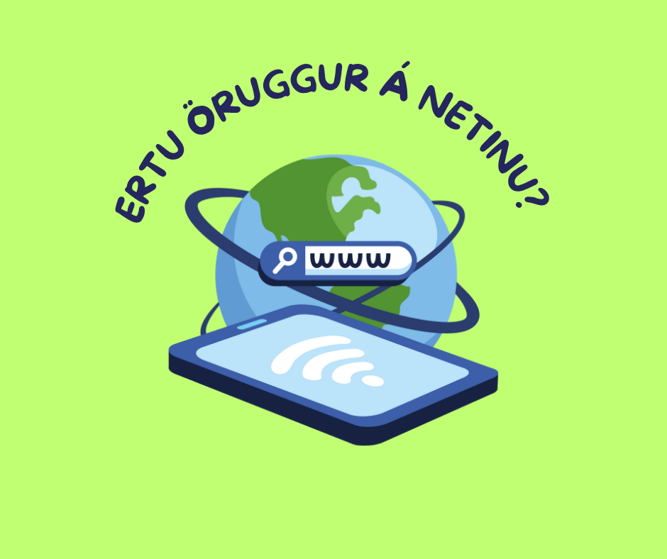 ertu öruggur á netinu