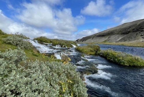 490151397 10224073353736454 3445916785485792093 n