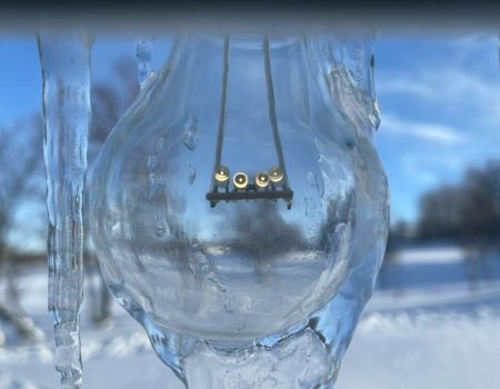 503932463 10224618978816740 309710148774496957 n