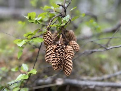 504973614 10224678721910280 5551594190502773047 n